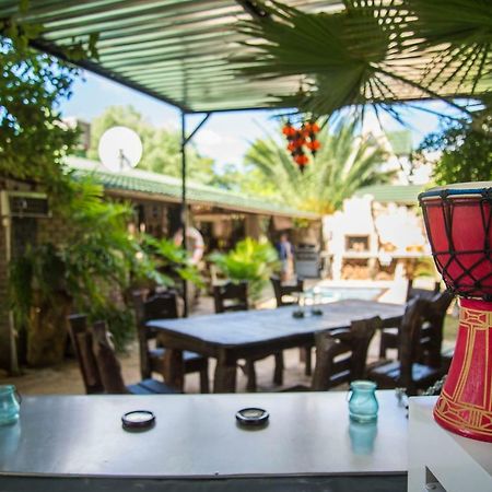 Хостел Tsumeb Backpackers & Safari Экстерьер фото