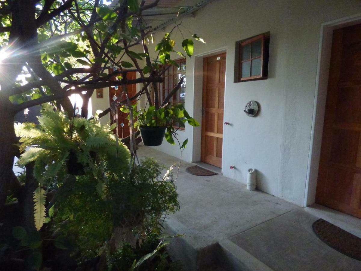 Хостел Tsumeb Backpackers & Safari Экстерьер фото